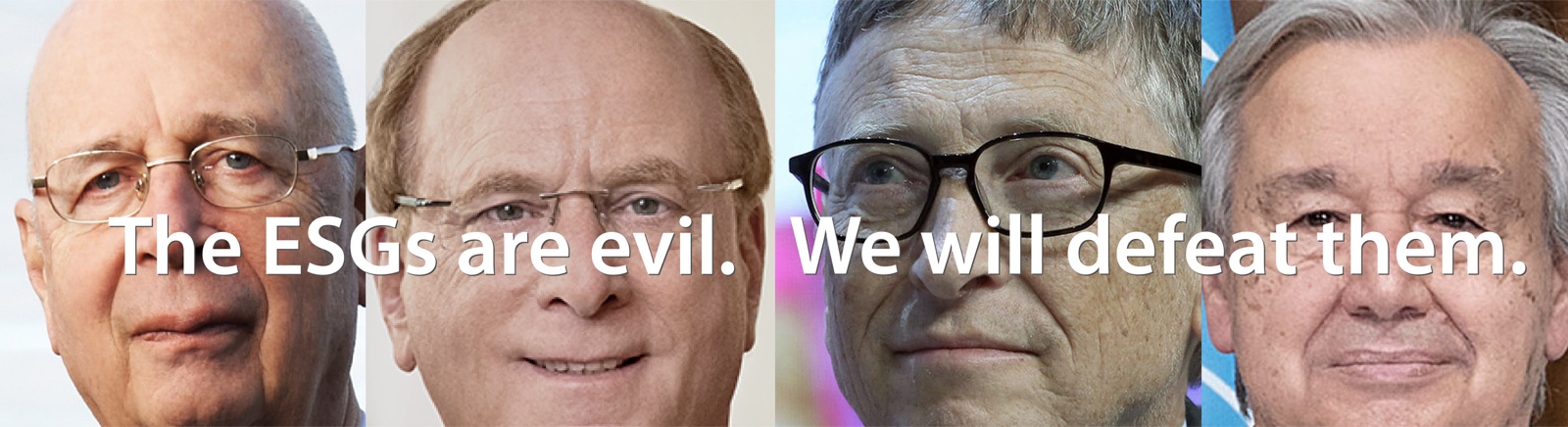 The ESGs are evil. We will defeat them.